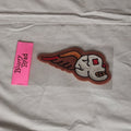 Winged Skull